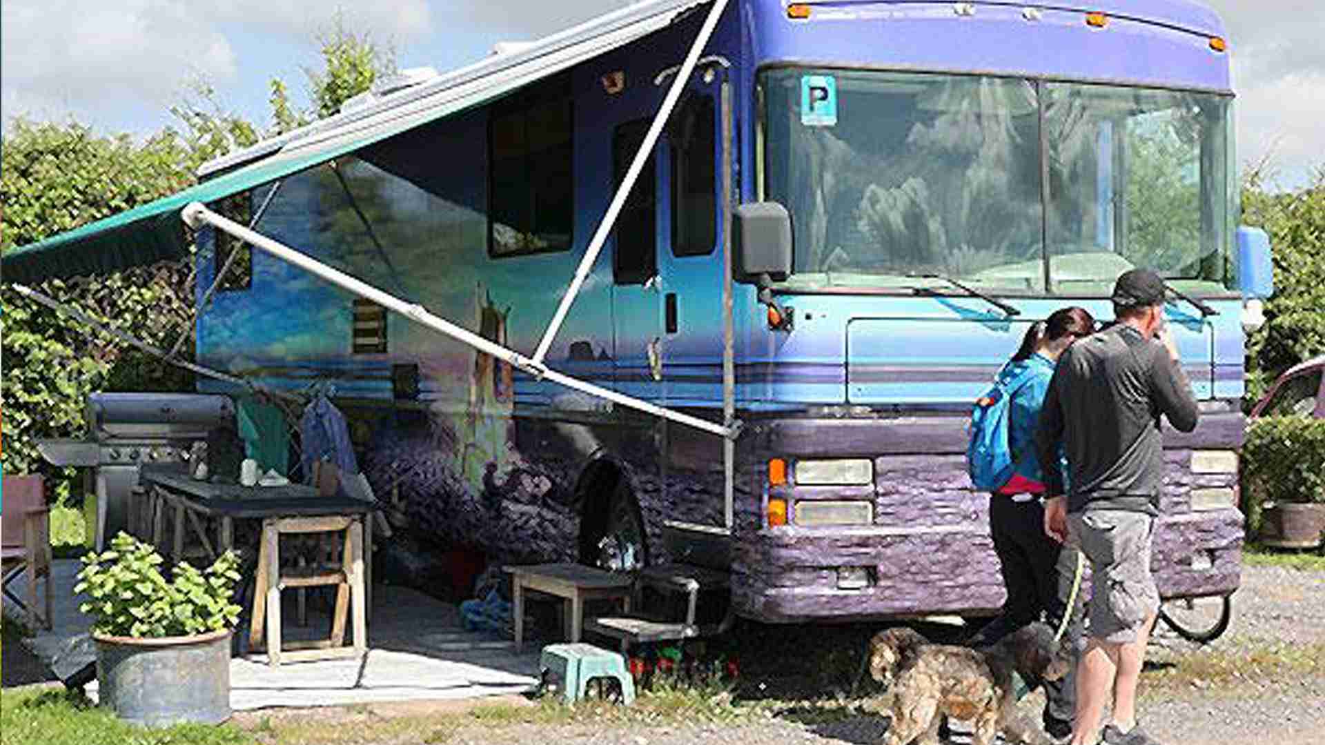 Petruth Camping